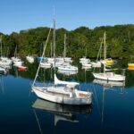 Photo des buissnes les plus populaire en bretagne