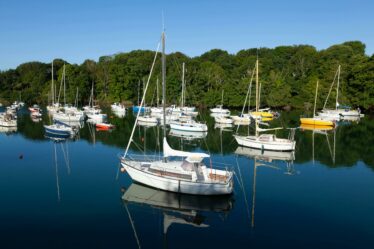 Photo des buissnes les plus populaire en bretagne