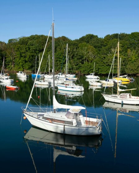 Photo des buissnes les plus populaire en bretagne