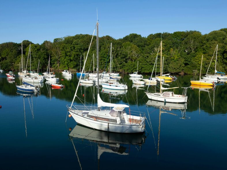 Photo des buissnes les plus populaire en bretagne